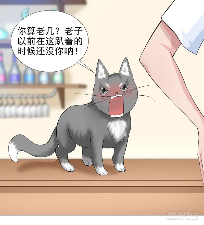 第13话 什嘛！卖店！！6