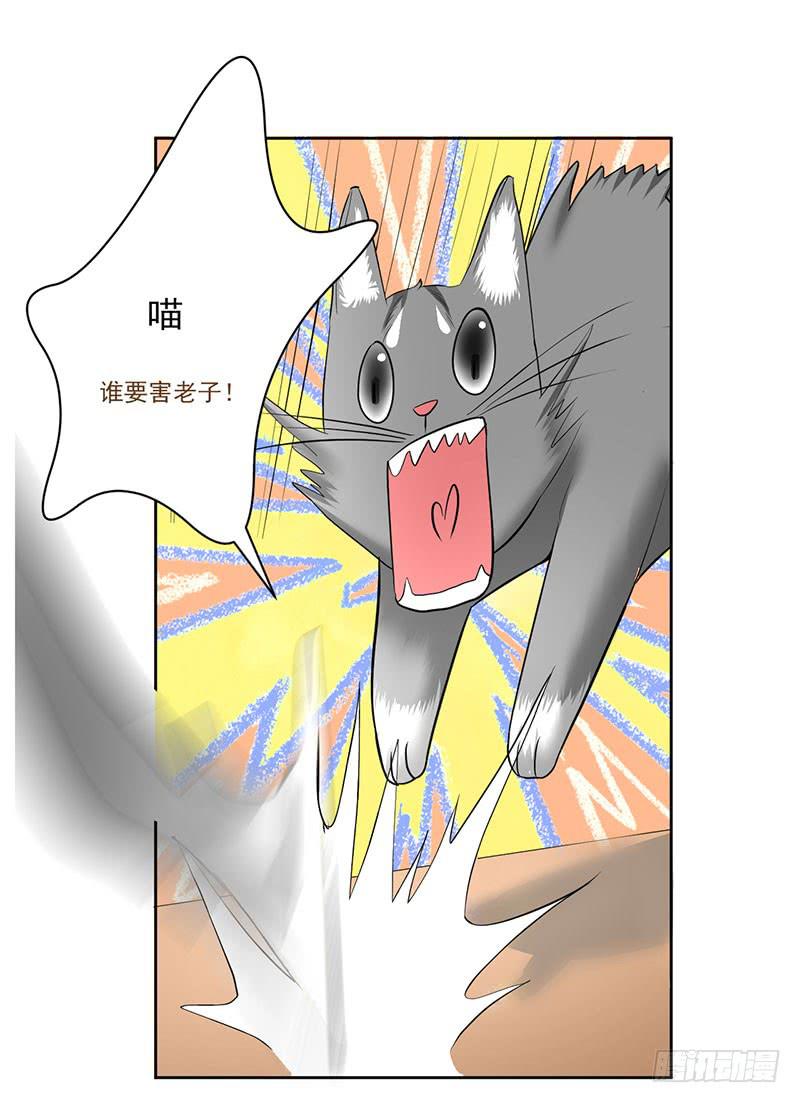第13话 什嘛！卖店！！4