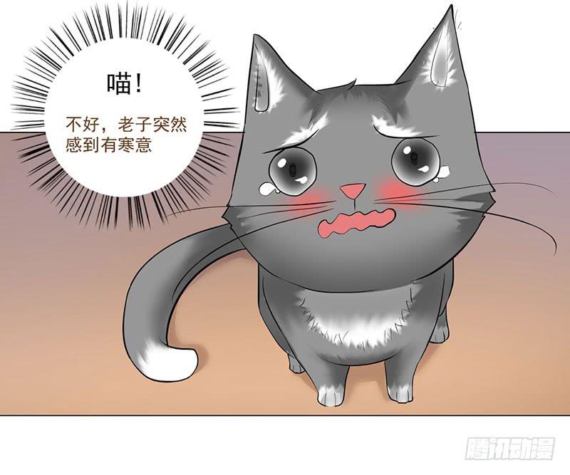 第13话 什嘛！卖店！！8