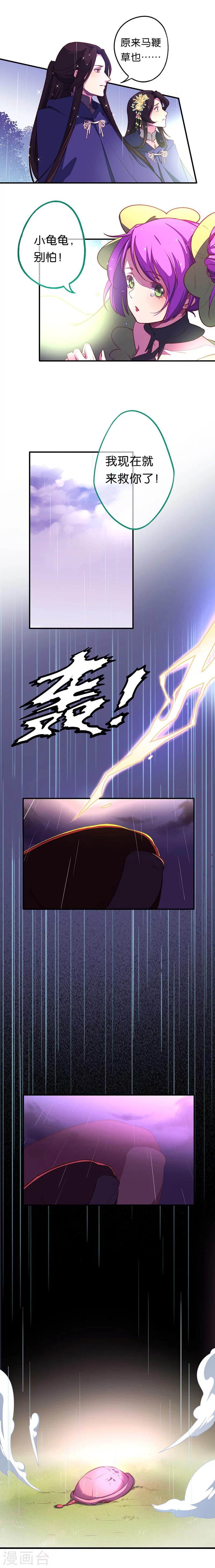 第12话 不许再欺负小龟龟！2