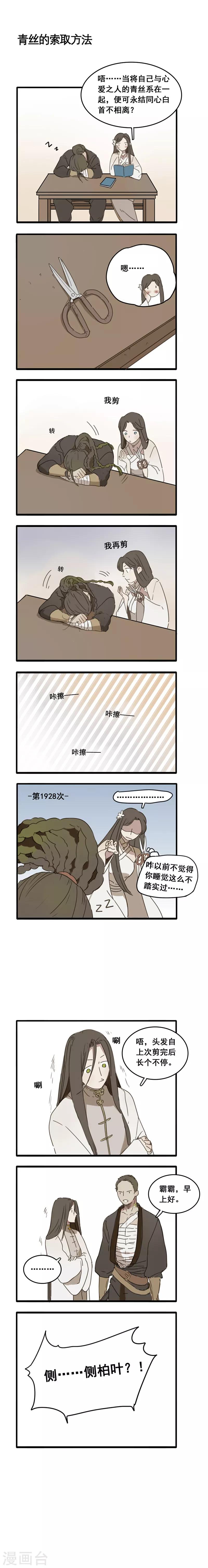 番外2 人物揭秘——白首乌+侧柏叶4