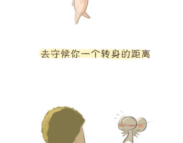 我愿意变成那个小透明19
