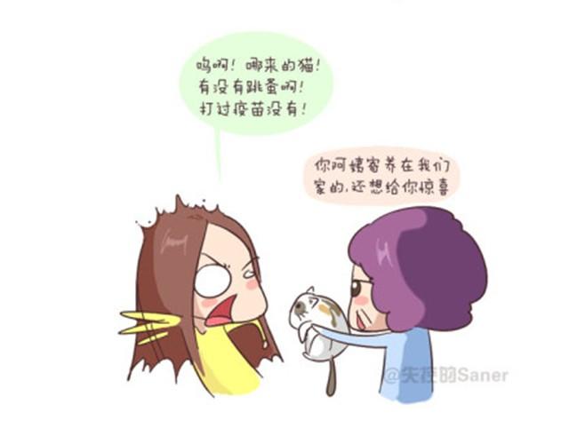 终于学会如何与这个世界和平相处15