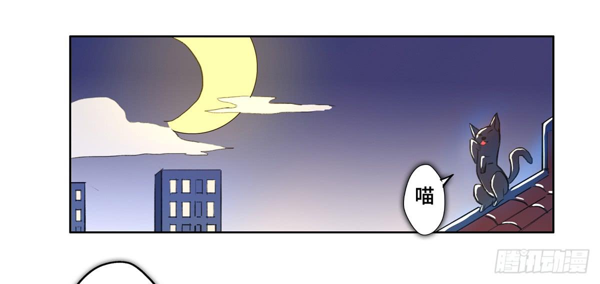 1 我被开除了71