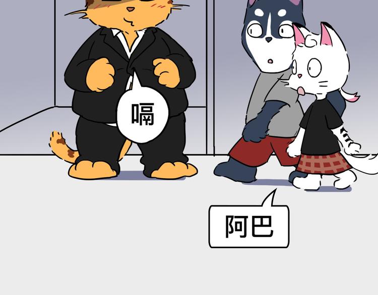 我不是胖，是理直气“壮”48