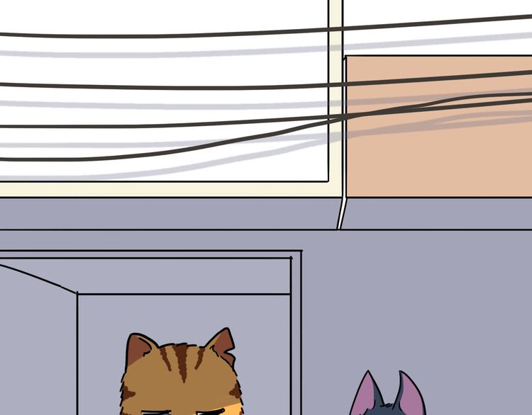 我不是胖，是理直气“壮”47