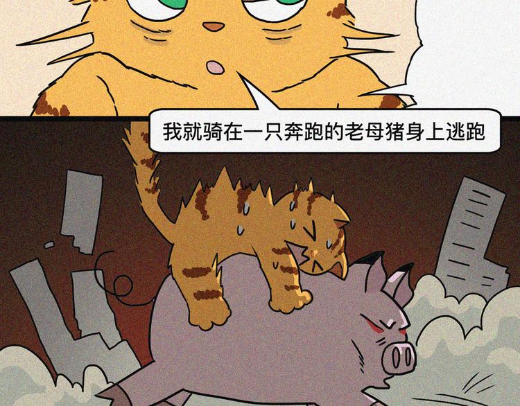 乔乔老司机上路事件36