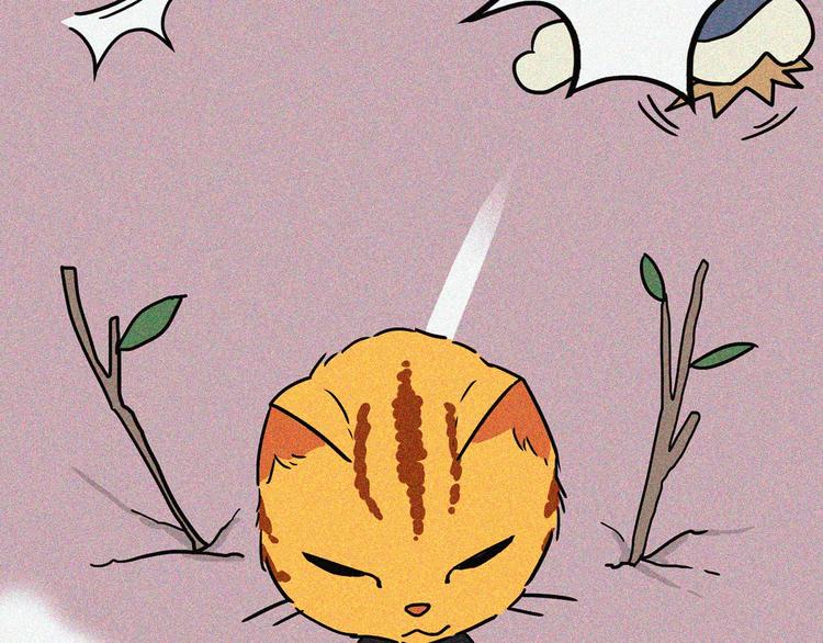 今天就告别孤单27