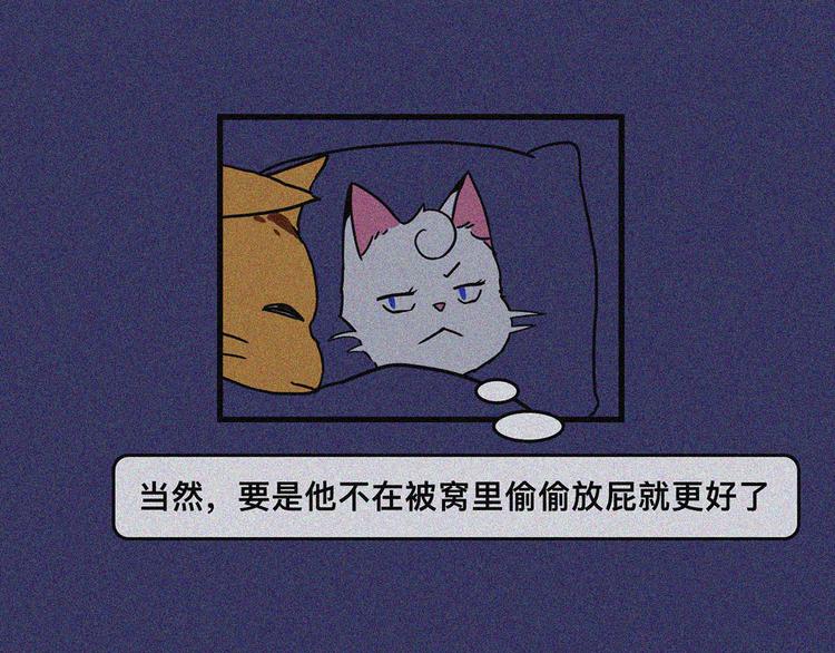 男票憨憨人设是什么体验16