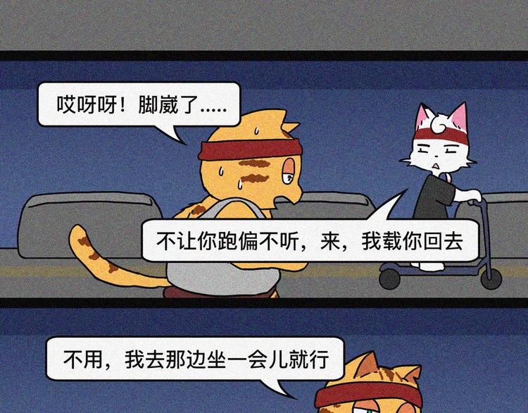 沙雕圈F4被暴击时刻34