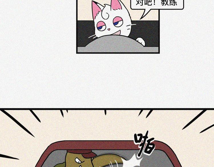乔乔老司机上路事件3