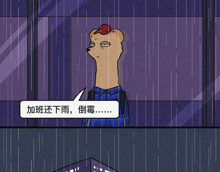 沙雕圈F4被暴击时刻13