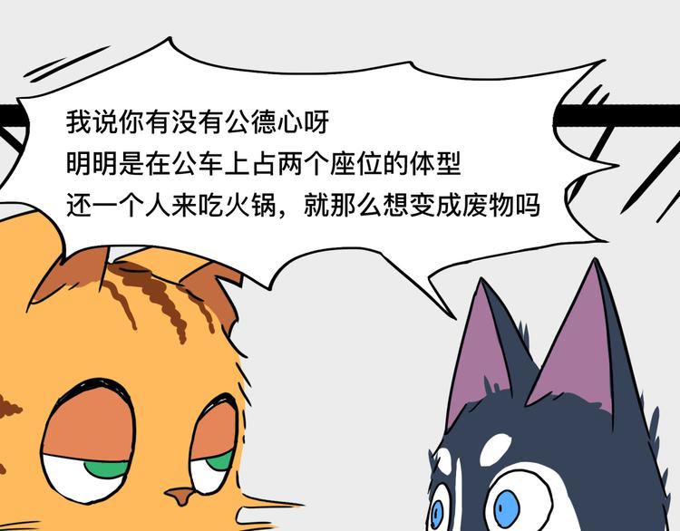 我不是胖，是理直气“壮”49