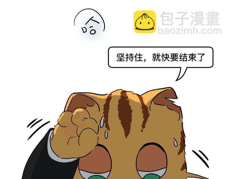 我不是胖，是理直气“壮”36