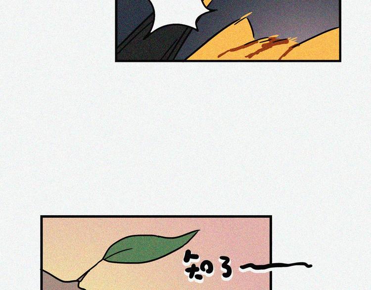 今天就告别孤单12