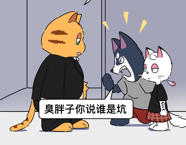 我不是胖，是理直气“壮”52