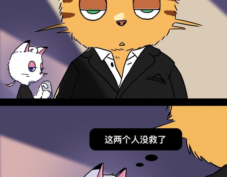 从黑帮转业的娃娃脸68