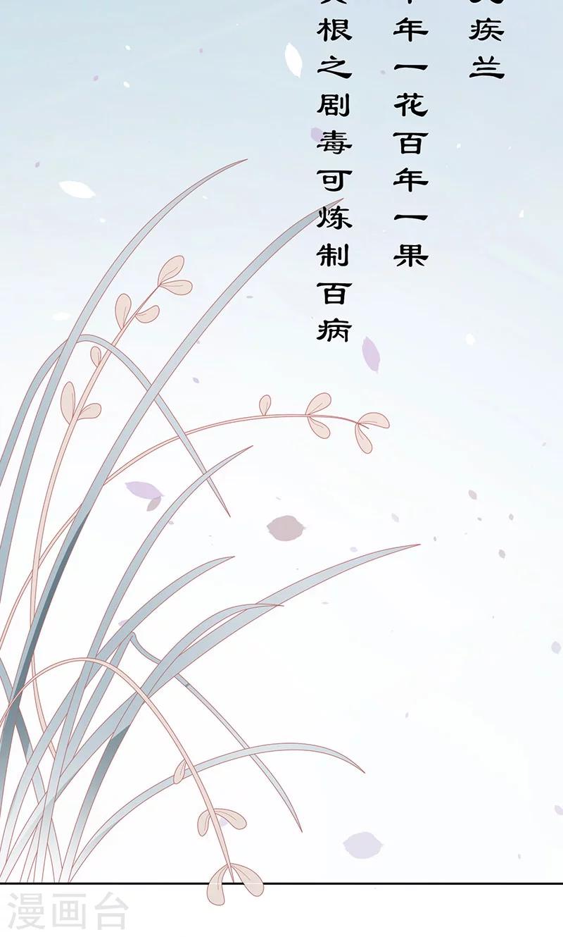 第38话 无疾兰之根21