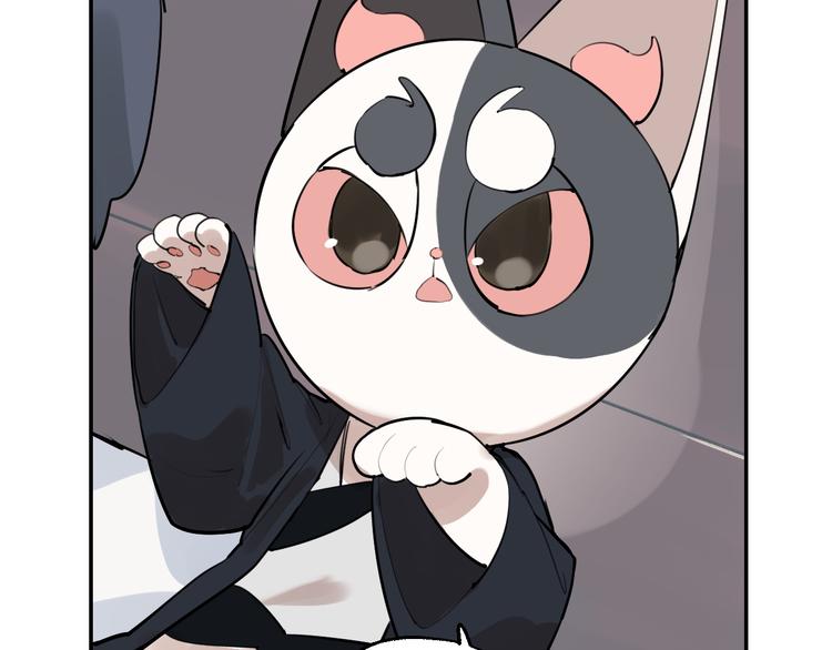 第16话 真正的愿望1