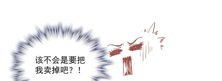 拍卖会43