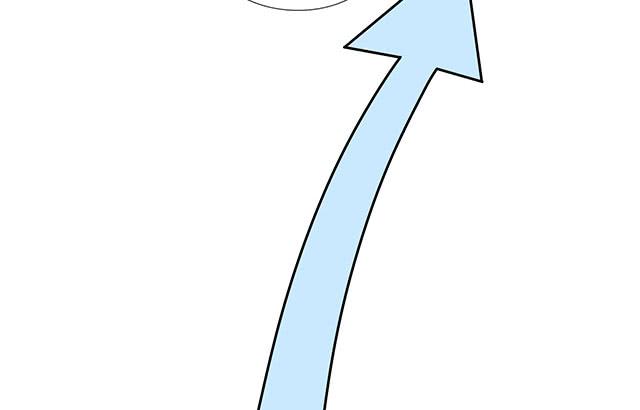 她是男人？33