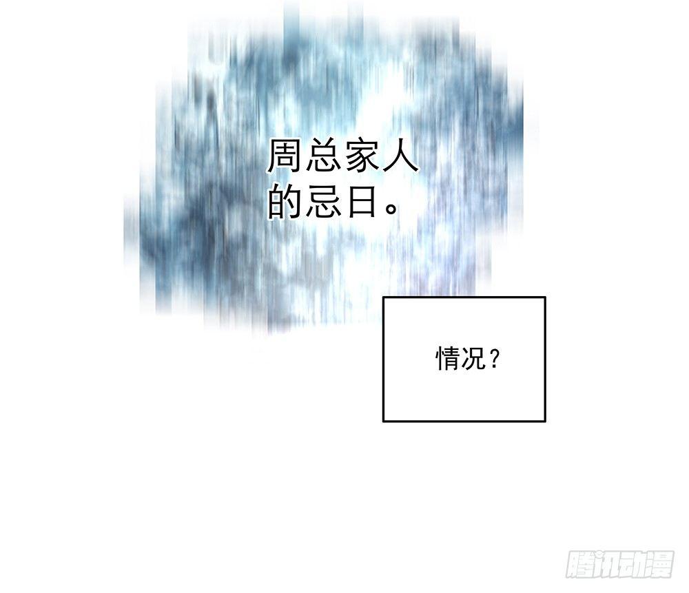 不是为了你27
