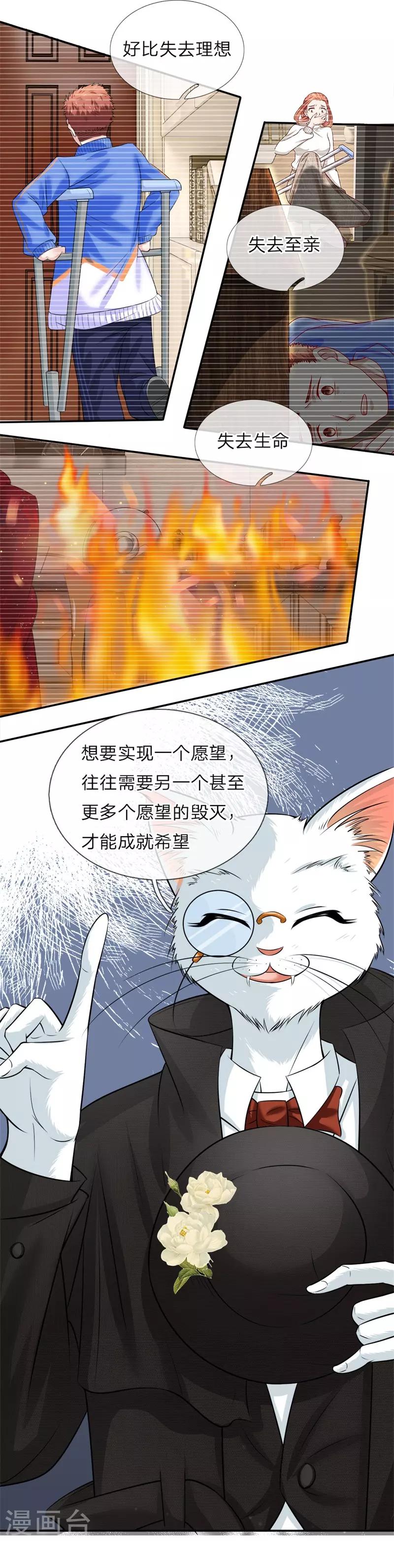 第18话 猫先生现身3