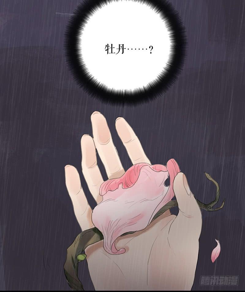 第十九话 牡丹花33