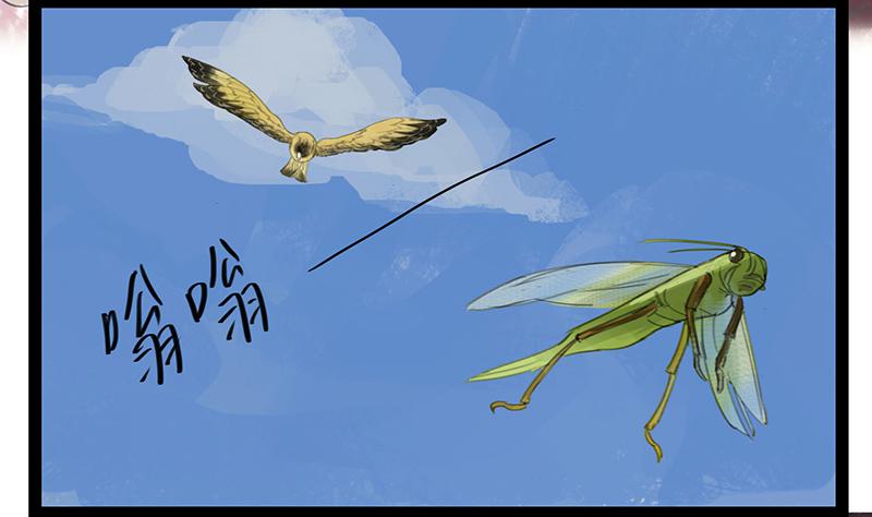 第六话 衣锦还乡4