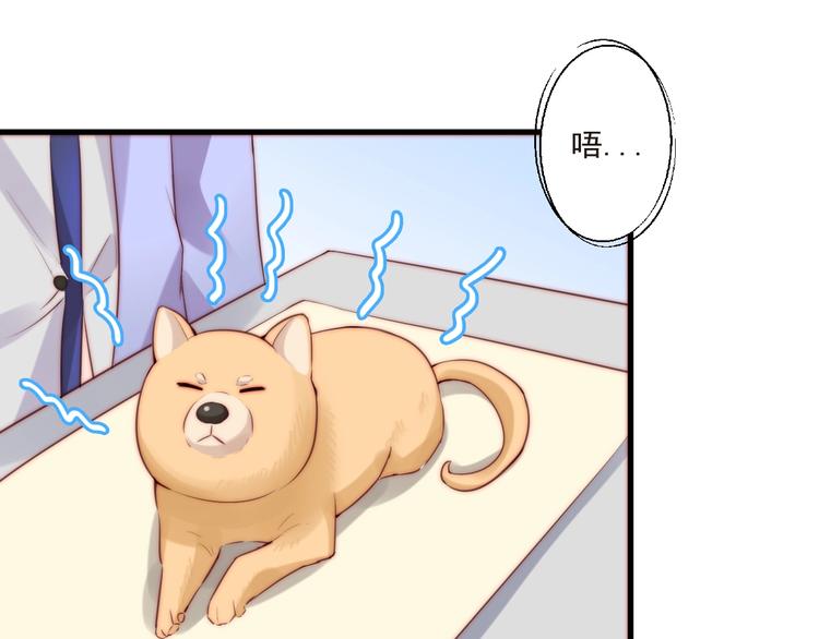 第11话 救治9