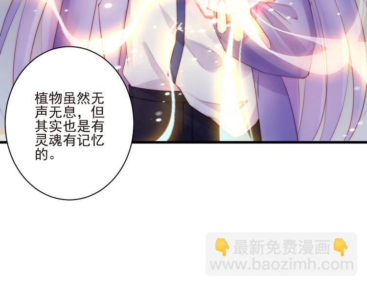 第12话 榕树之灵61