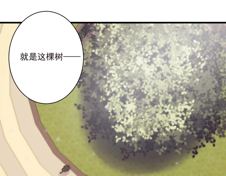 第12话 榕树之灵29