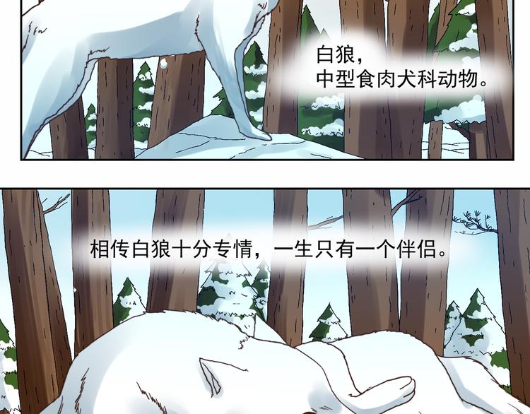 第6话 恶趣味1