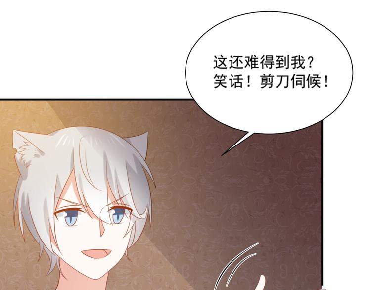 第8话 万能裁缝喵出山89