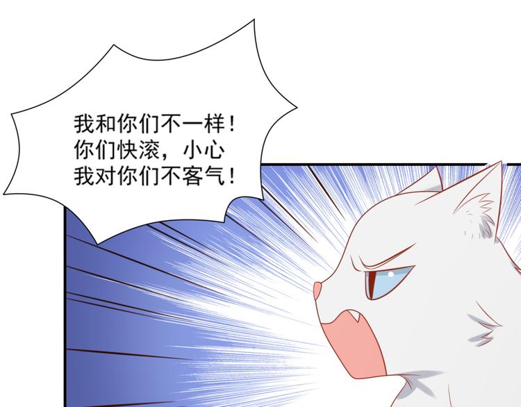 第18话 路遇坏猫人37