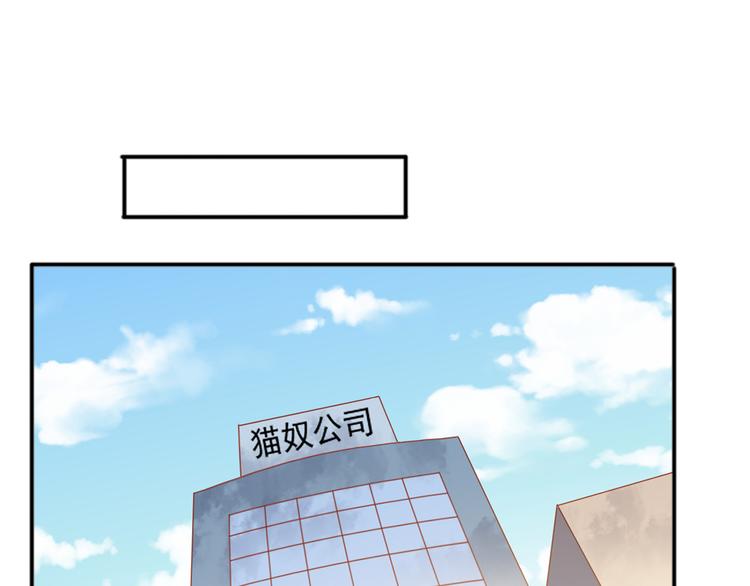 第27话 有关部门介入猫人调查3