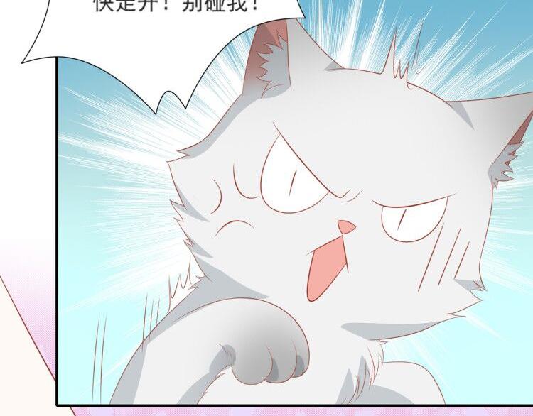 第3话 同床共枕我的喵？40