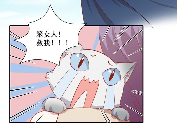 第18话 路遇坏猫人9