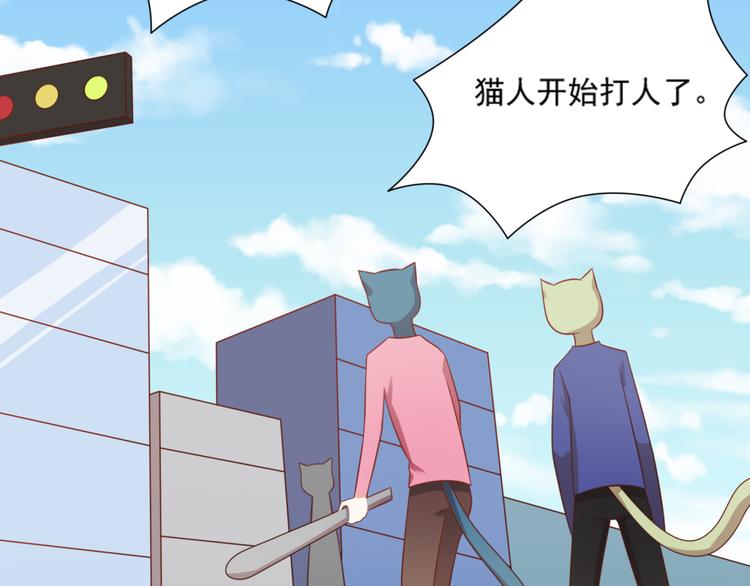 第18话 路遇坏猫人22