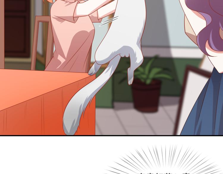 第18话 路遇坏猫人4