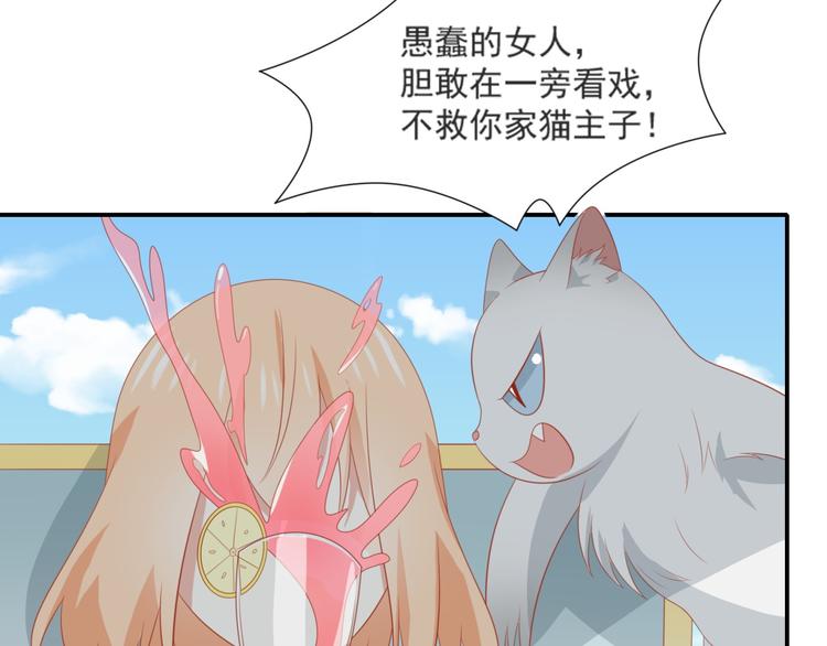 第3话 同床共枕我的喵？16