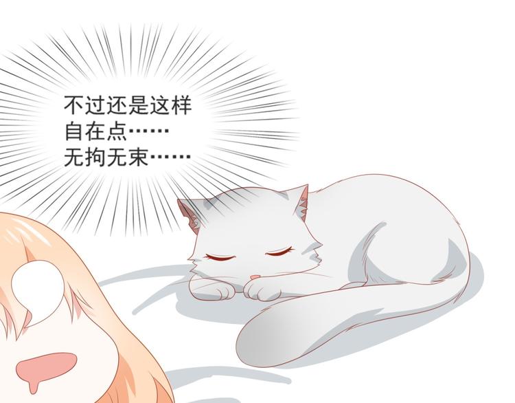 第3话 同床共枕我的喵？65