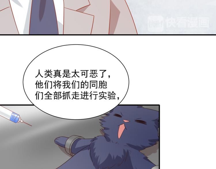第14话 坏猫人企图勾结富贵60