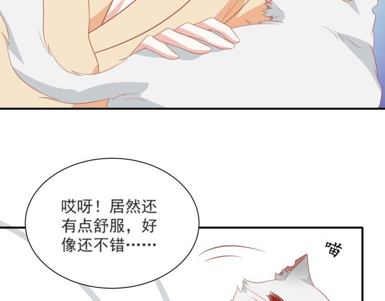 第3话 同床共枕我的喵？44