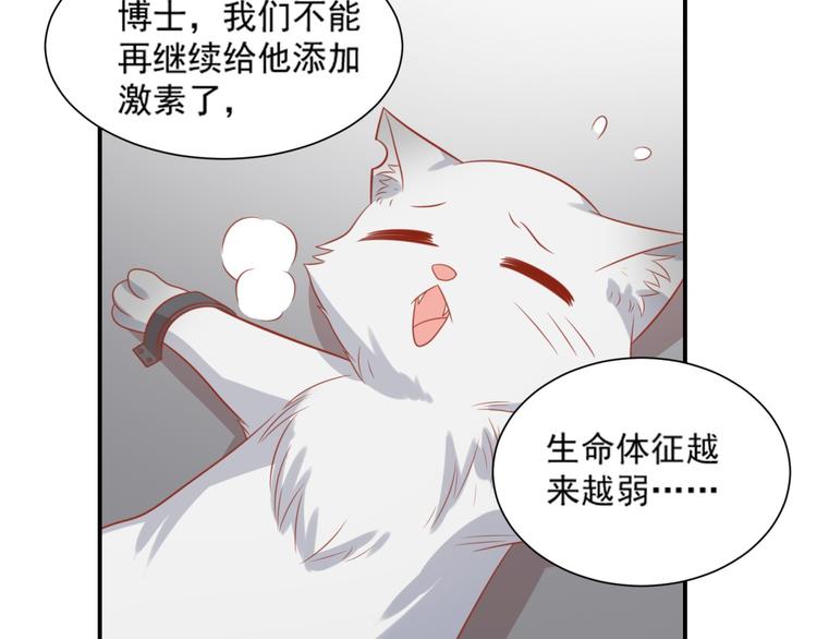 第20话 猫人危机来袭！34