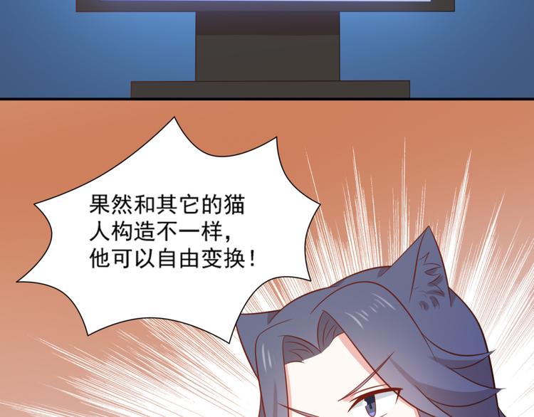 第18话 路遇坏猫人55