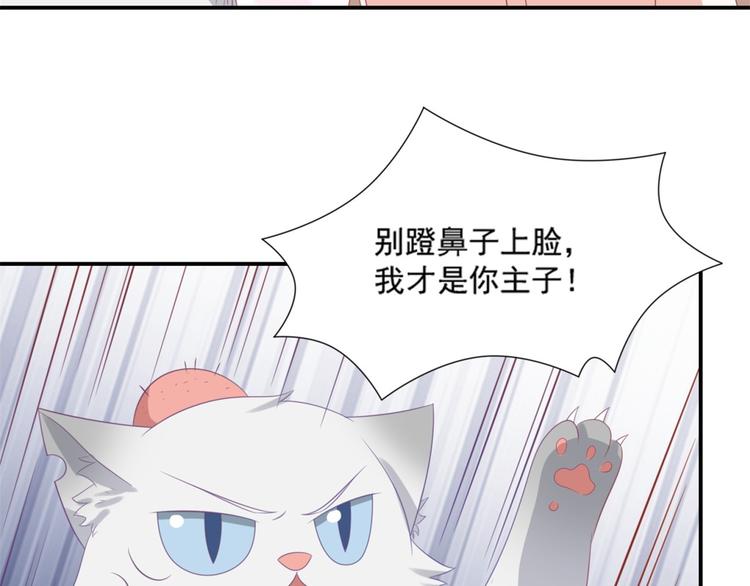 第8话 万能裁缝喵出山58