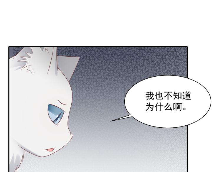 第30话 无法掌控形态的富贵49