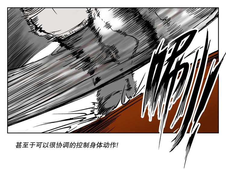 第8话 实验88