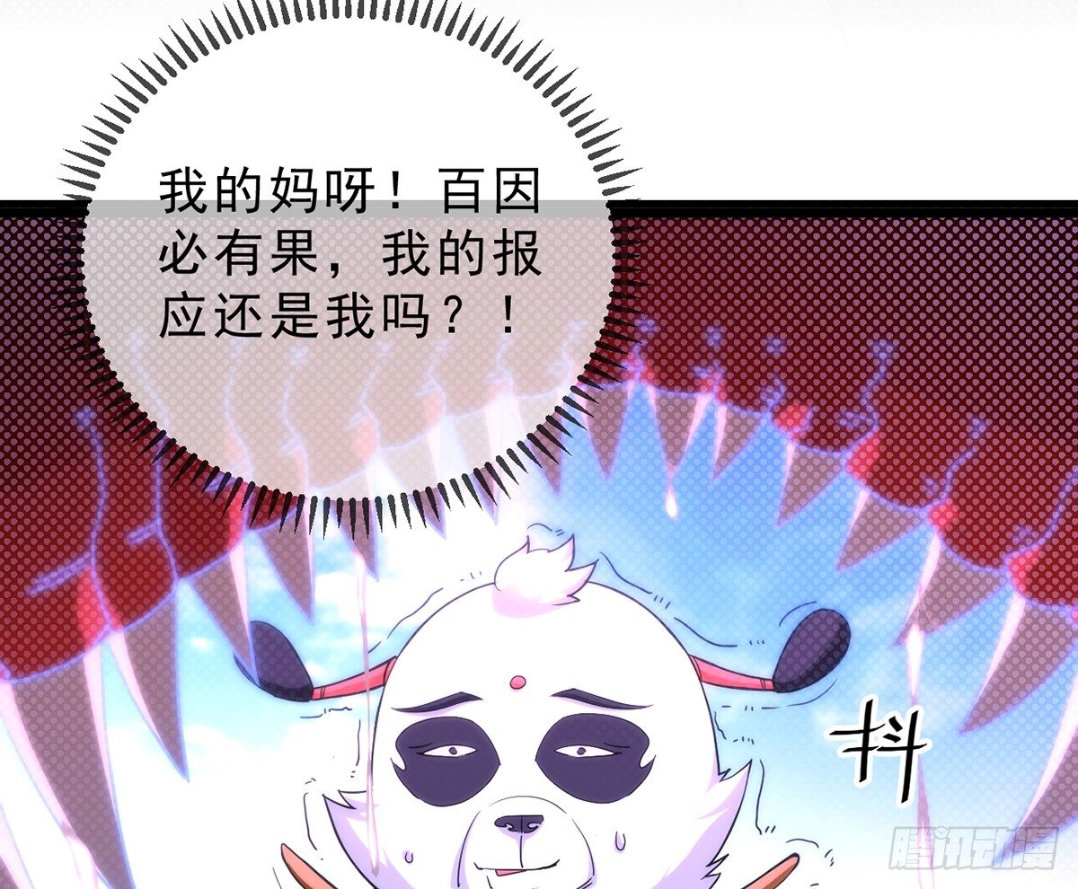 第3话 史上最悲催熊猫77